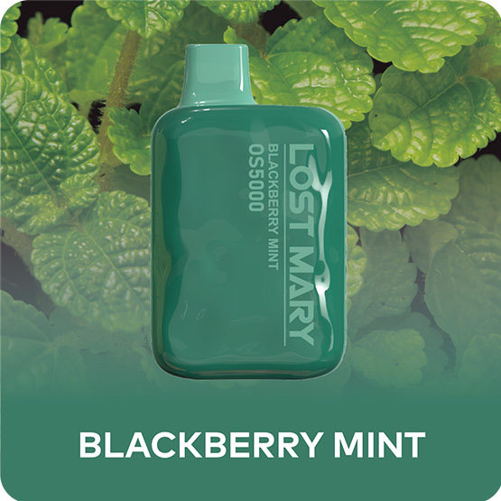 Blackberry Mint Lost Mary OS5000